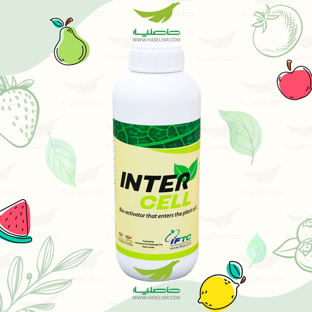 intercell خرید آمینواسید اینترسل 1 لیتری حاصل نوین - فروشگاه کشاورزی حاصلیار