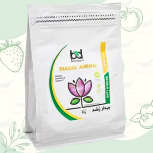 خرید کود آمینواسید مجیک آمینو 1 کیلویی بیدار رشد از فروشگاه کشاورزی حاصلیار